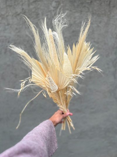 Cucurucho Escandinavo II