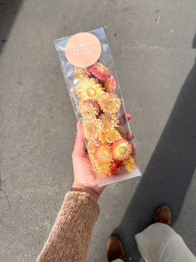 Cabezas de Helicriso Salmón