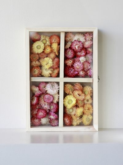 Marco Flores Secas Damasco-Rosado (L)